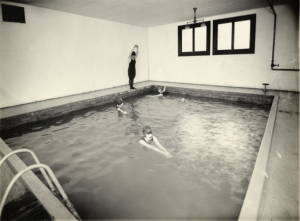 Five women, four in the water, and one prepared to dive, are swimming in an indoor pool.